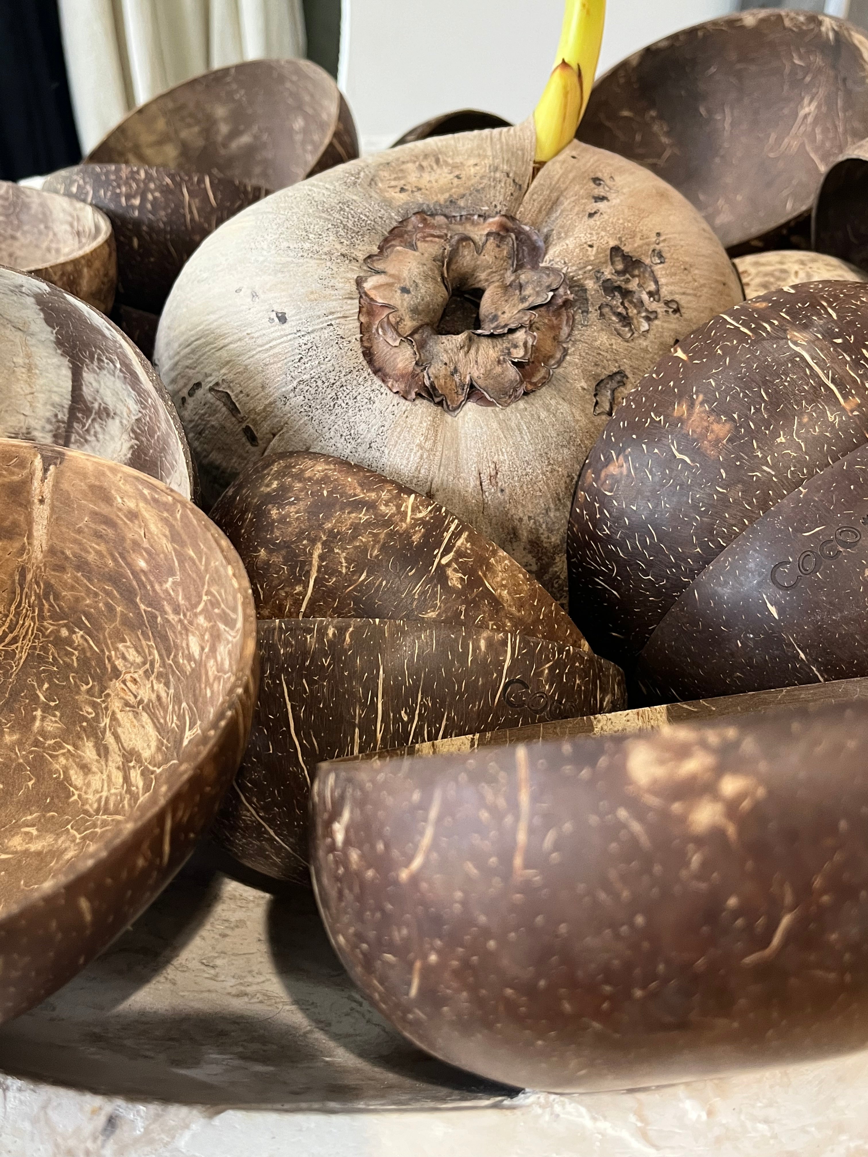 Coconut bowls