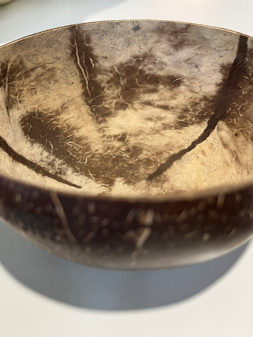 Coconut bowls